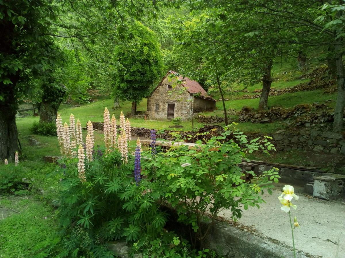 Casa Vacanze Le Muse Sillico Pieve Fosciana Εξωτερικό φωτογραφία